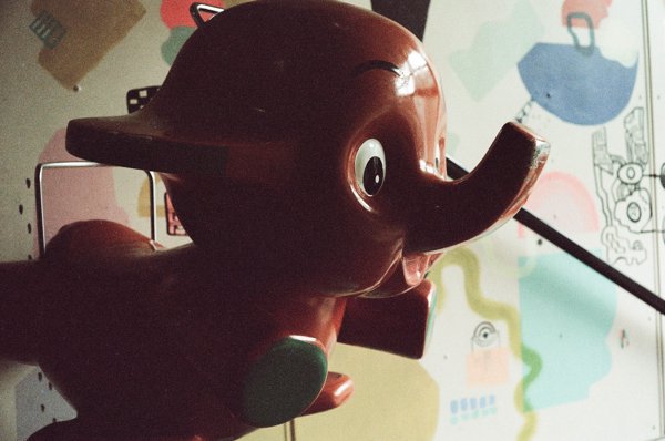 Sunny 2026 [Ilfocolor Vintage Tone 400]