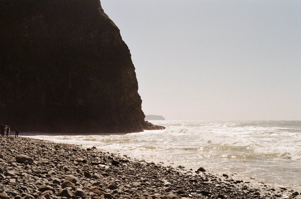 Oregon Coast [Pro Image 100]