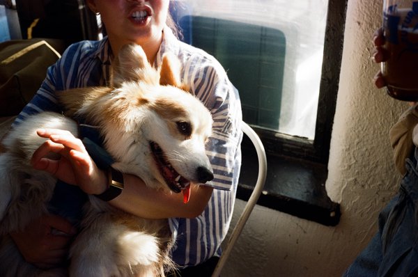PNW Randoms [Fuji Pro 100]